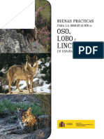 Buenas Prácticas para La Observacion de Oso, Lobo y Lince en España