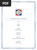 articuloss SIS DE INF GERENCIAL