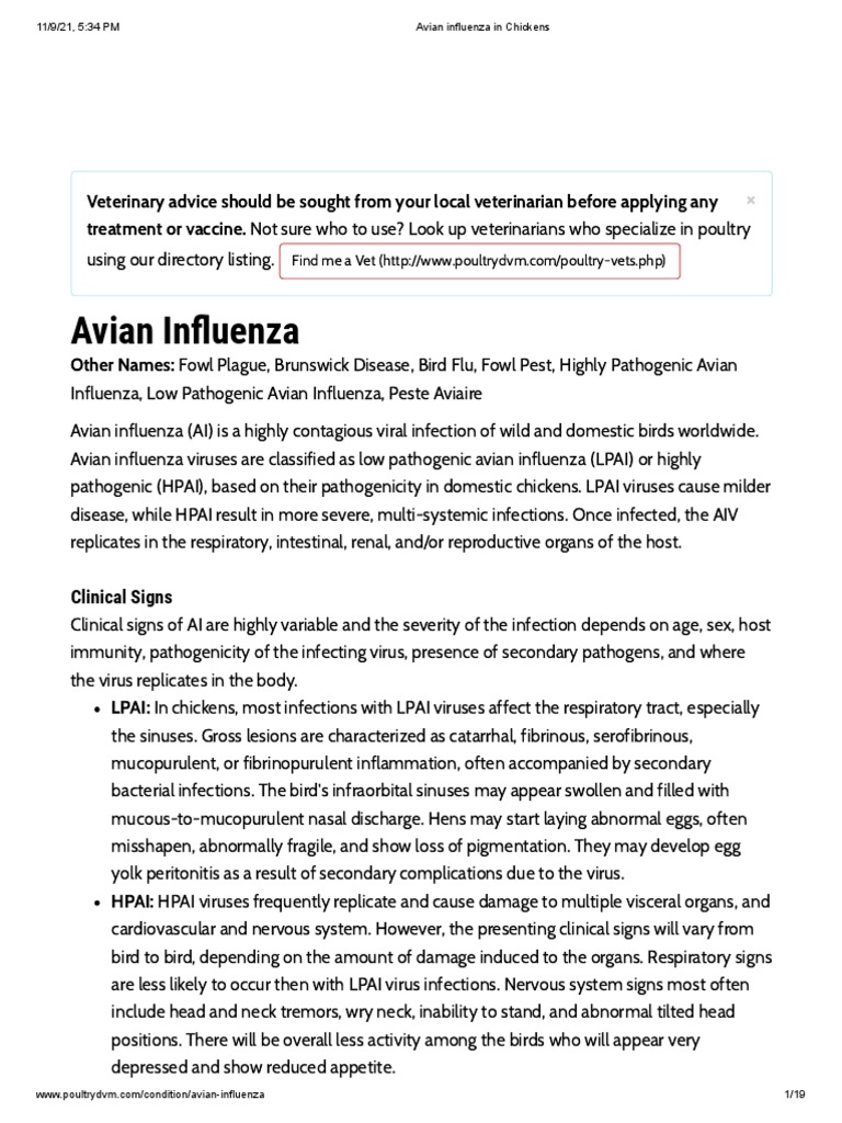 Avian Influenza in Chickens | PDF | Avian Influenza | Influenza
