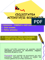 Sapt 33 Fluctuatiile Activitatii Economice (2)