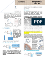 T3-Fosfolipidos y Colesterol