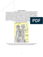 Anatomie Sectiunea 3