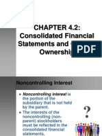 Consolidated Financial Statement Outside Ownership