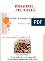 l3.Diversitate Culturalaok (1)