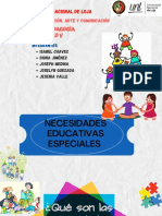 Necesidades Educativas Especiales