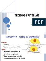 Aula 2 - Tecido Epitelial FA