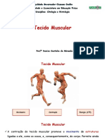 aula 2 - histologia Muscular
