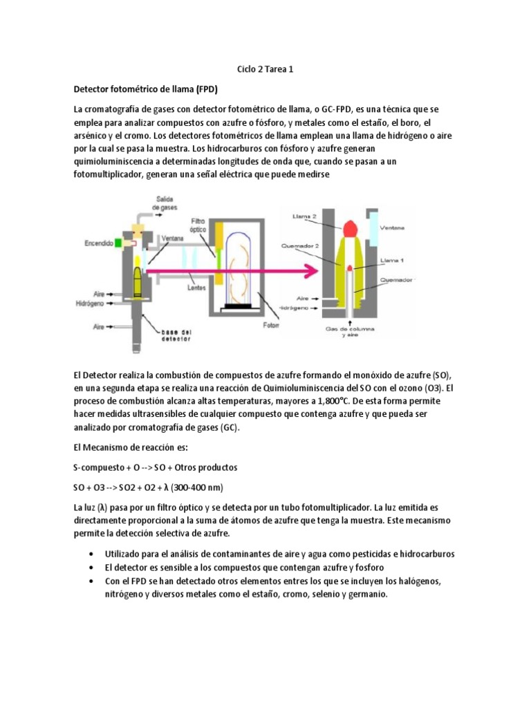 GC-FPD y GC-MS: Técnicas de Detección | PDF | Amoníaco | Cromatografía ...
