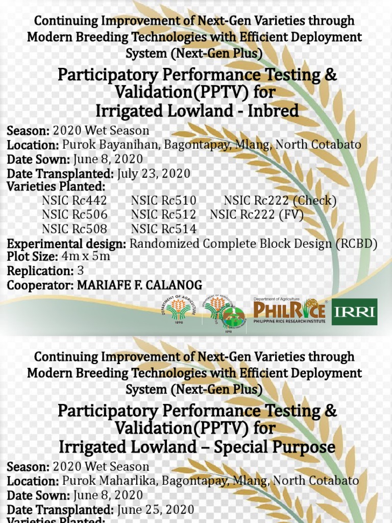 Next-Gen Rice Variety Testing 2020 | PDF | Quantitative Research ...