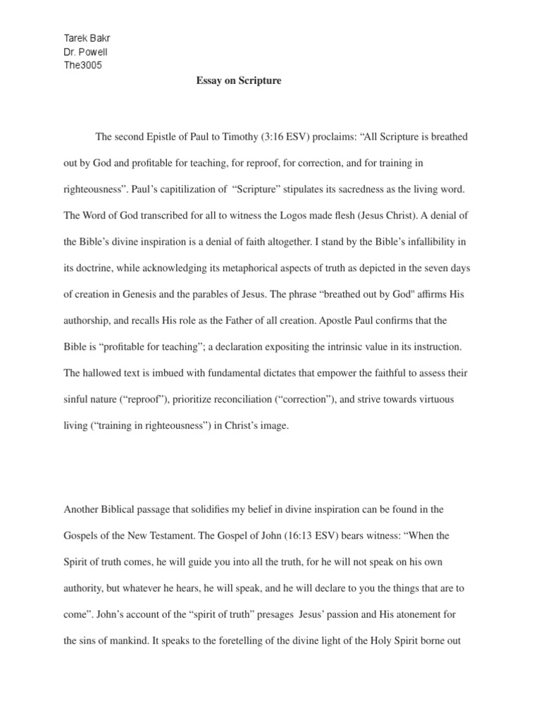 Essay On Scripture | PDF | Bible | Jesus