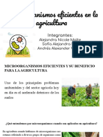 Microorganismos agrícolas y su beneficio