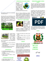 Triptico Sobre Areas Verdes