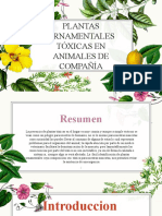 Plantas Ornamentales Tóxicas en Animales de Compañía