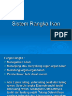 3_SISTEM_RANGKA_IKAN