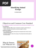 Kindergarten Lesson Plan 1 Animals Group PP