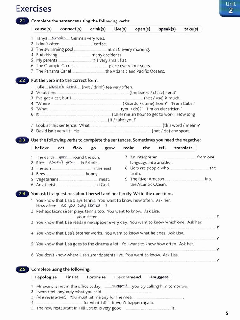 English Verb Exercises for Beginners | PDF