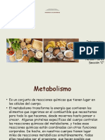 16 Metabolismo de Carbohidratos