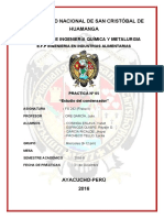 Universidad Nacional de San Cristóbal de Huamanga: Facultad de Ingeniería Química Y Metalurgia