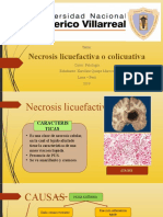 Necrosis Licuefactiva