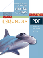 Field Guide Indonesian Elasmo NEW