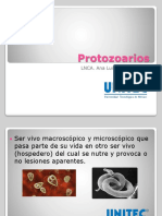 Protozoarios Unitec
