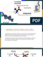 Acidos Nucleicos y Aminoacidos