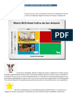 2 BCG Servicio Def