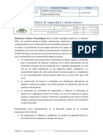 Actividad 1 - Política de Seguridad y Salud Eólicas - Patricia Ramirez