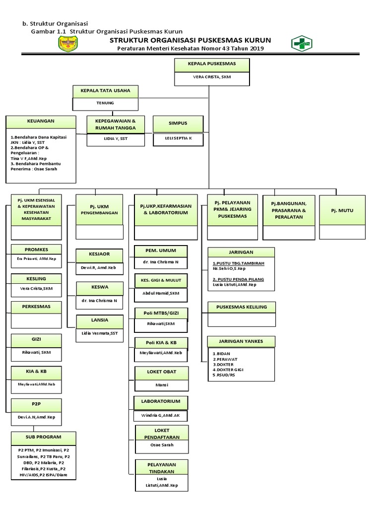 Struktur Permenkes 43 Tahun 2019 | PDF