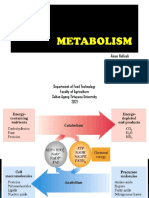 Metabolism: Ainun Nafisah