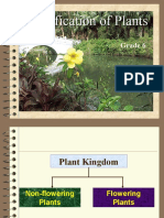 Grade 6 - Classification of Plants