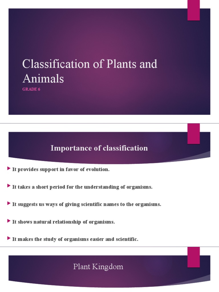 Classification visual data 5