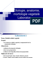 Lab. 2 - 2021 - Farma - Citologie, Anatomie, Morfologie Vegetala - Sem I.