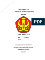 Sabina Aulia - P10120201 - Paper Pengganti UAS