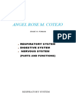 Angel Rose M. Cotejo: Respiratory System Digestive System Nervous System