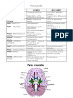 Pares Craneales