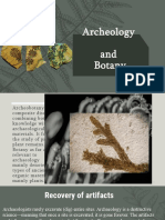 Archeobotany Study of Ancient Plant Remains