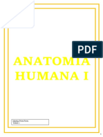 Anatomía 1-149
