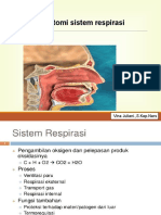 Anatomi Sistem Respirasi