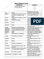 Basic Anatomy Terms: Term Example