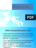 Perbedaan DNA Dan RNA