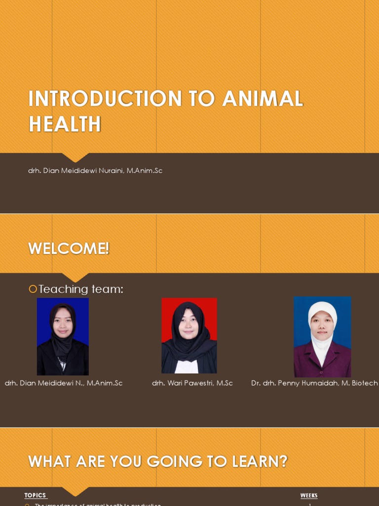 Introduction to Animal Health Concepts | PDF | Infection | Physical ...