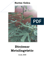 Dictionar Metalingvistic