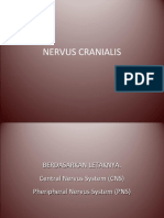 10 Nervus Cranialis