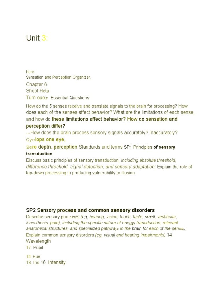 Top-Down Processing in Sensation | PDF | Perception | Senses