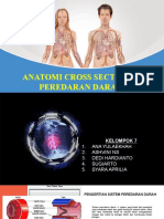 KEL. 7 SISTEM PEREDARAN DARAH (Fix Presentasi)