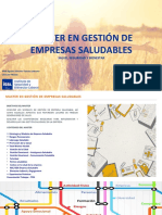 Presentacion Master Empresa Saludable