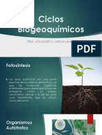 Ciclos Biogeoquímicos