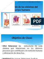 Siste Cuerpo Humano