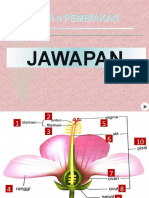 KUIZ BAB 4 (4.7 Pendebungaan) - Jawapan